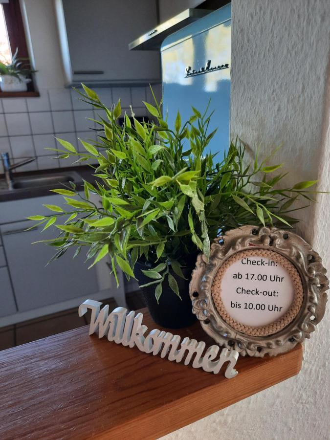 Schoene Einzimmer Wohnung Zwischen Bodensee Und Allgaeu Neukirch  Esterno foto