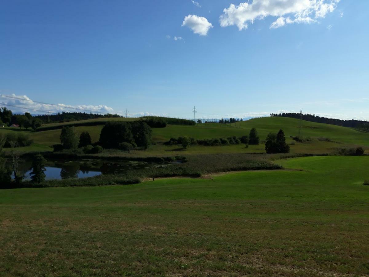 Schoene Einzimmer Wohnung Zwischen Bodensee Und Allgaeu Neukirch  Esterno foto