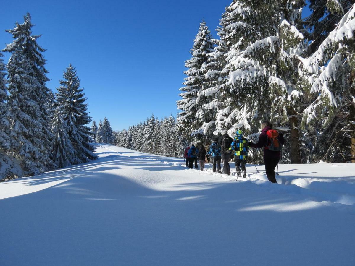 Schoene Einzimmer Wohnung Zwischen Bodensee Und Allgaeu Neukirch  Esterno foto